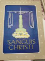 Zeldzaam 1952 Sanguis Christi H.Bloedspel in beeld, Ophalen, Gebruikt, Boek, Christendom | Katholiek