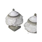 Paire de Vasques à Tête de Lions en Pierre avec Couvercles, Jardin & Terrasse, Enlèvement, Utilisé, /, /