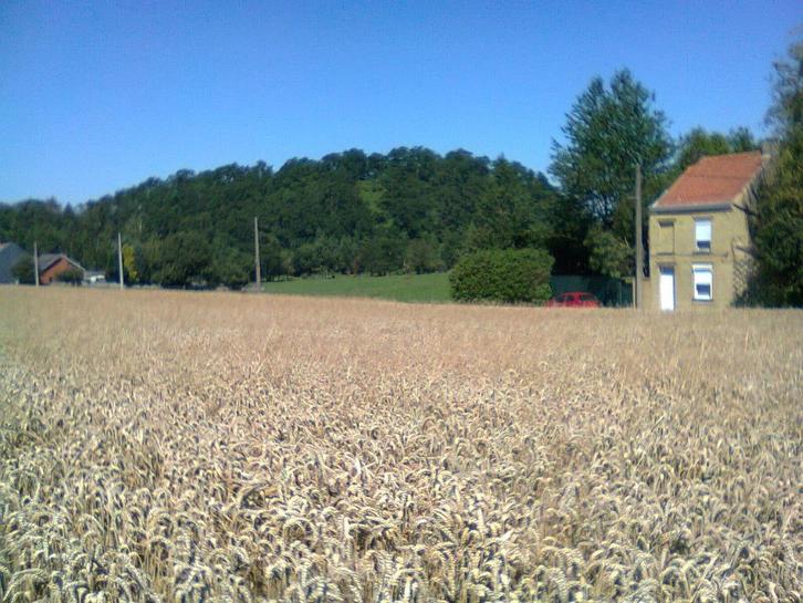 Maison campagne à Leval-Trahegnies,Binche Option en cours, Immo, Maisons à vendre, Province de Hainaut, Maison individuelle, G
