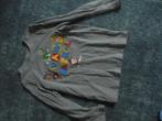 lange mouwen T-shirts 110/116, C&A, Ophalen of Verzenden, Zo goed als nieuw, Shirt of Longsleeve