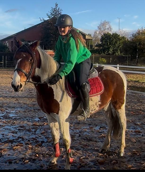 Bonte 4,5 jarige pony van 1,44, Dieren en Toebehoren, Pony's
