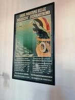 affiche Belgische zeevaartbond jaren 1910, Verzamelen, Posters, Zo goed als nieuw, Ophalen