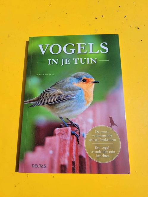Boek : Vogels in je tuin / Daniella Strauss, Livres, Nature, Comme neuf, Oiseaux, Enlèvement ou Envoi