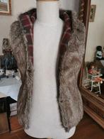 Heel mooi body jasje van Bershka, Kleding | Dames, Bodywarmers, Ophalen of Verzenden, Zo goed als nieuw, Maat 36 (S)