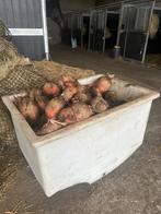 sterke plastiek bakken op wielen, Ophalen of Verzenden