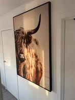Canvas Buffel, Antiek en Kunst, Ophalen