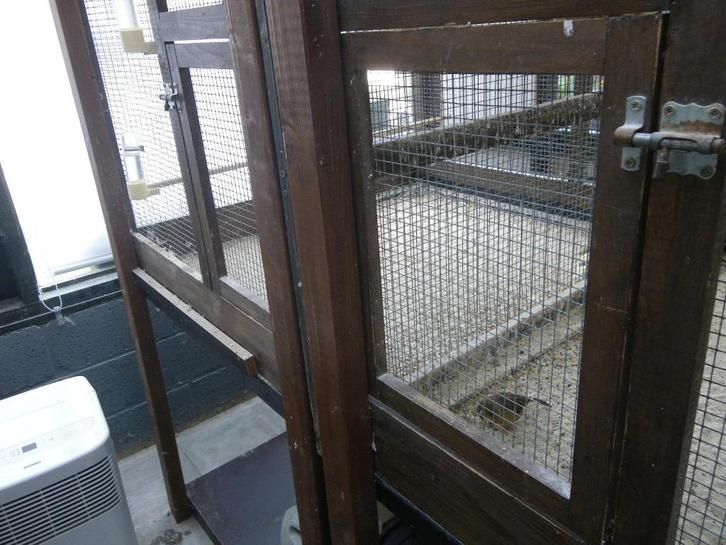 Binnen voliere, Dieren en Toebehoren, Vogels | Hokken en Kooien, Zo goed als nieuw, Volière, Hout, Ophalen