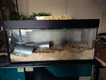 Hamsterkooi beschikbaar voor biedingen
