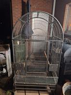 Grote papegaaien  kooi, Dieren en Toebehoren, Ophalen