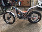 Scorpa 250 sct factory 2021, Motos, Motos | Marques Autre, Particulier