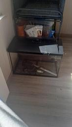 Aquarium, Ophalen, Gebruikt, Leeg aquarium