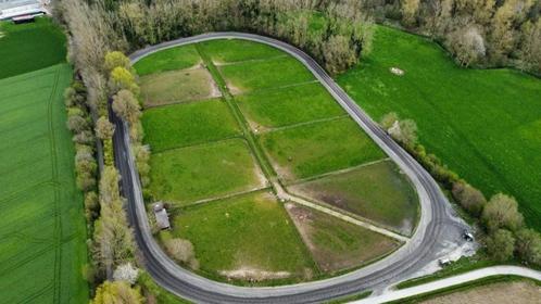 Lege boxen / stallen te huur, Dieren en Toebehoren, Stalling en Weidegang, Opfok, Stalling, 4 paarden of pony's of meer