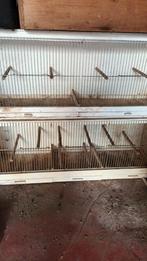 Vogelkooien, Dieren en Toebehoren