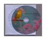 Kanarie waterslager, Timbrado Classico, Floreado, Harzer ..., Dieren en Toebehoren, Vogels | Kanaries, Zangkanarie