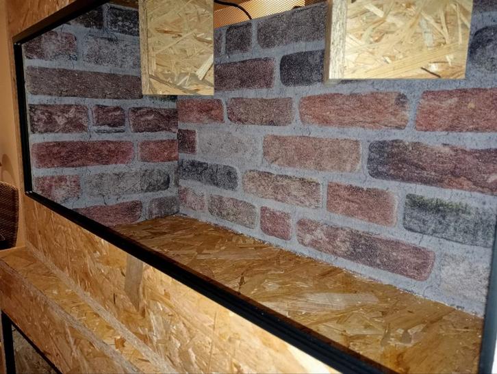 Osb3 terrarium RepHouSZ. Ook maatwerk, Dieren en Toebehoren, Reptielen en Amfibieën | Toebehoren, Nieuw, Terrarium of Paludarium