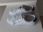 Sneakers Tommy Hilfiger, Kleding | Dames, Schoenen, Ophalen, Sneakers