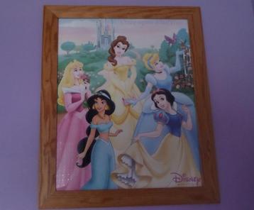 Houten kader met poster van Disney-prinsessen