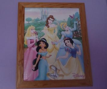 Houten kader met poster van Disney-prinsessen