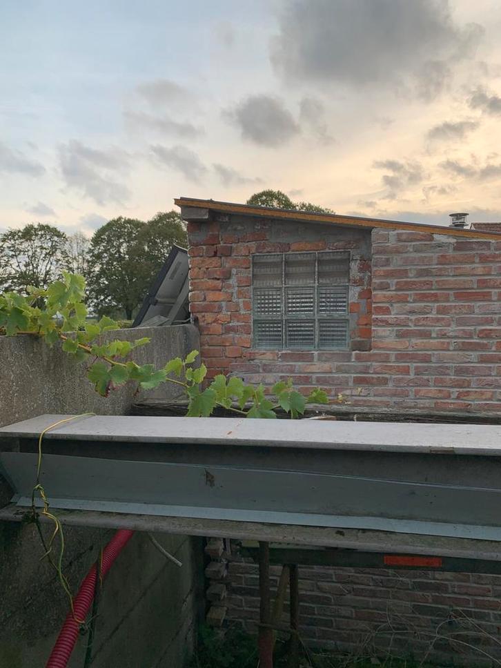Poutrelle L6m new 24x24, Doe-het-zelf en Bouw, IJzerwaren en Bevestigingsmiddelen, Nieuw, Overige typen, 250 mm of meer, Ophalen