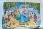 Diamond painting disney princessen, Ophalen of Verzenden, Zo goed als nieuw