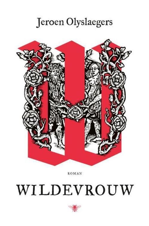 Te Koop Boek WILDEVROUW Jeroen Olyslaegers, Boeken, Literatuur, Zo goed als nieuw, België, Ophalen of Verzenden