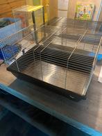 Kooi voor knaagdieren, Dieren en Toebehoren, Ophalen, Kooi