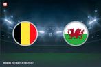 Belgique - Pays de Galles ( 1 billet), Tickets & Billets