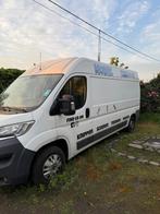 Mobiel trimsalon (citroën jumper), Euro 5, Zwart, Wit, Particulier