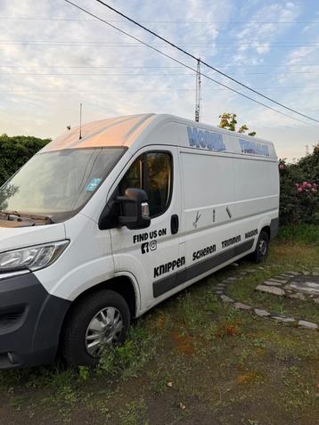 Mobiel trimsalon (citroën jumper) beschikbaar voor biedingen