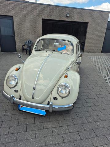 Vw kever 1200cc   bj 1962 beschikbaar voor biedingen