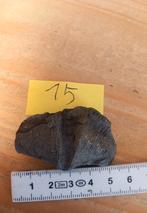 Fossiles en spirale (NR15), Collections, Enlèvement ou Envoi