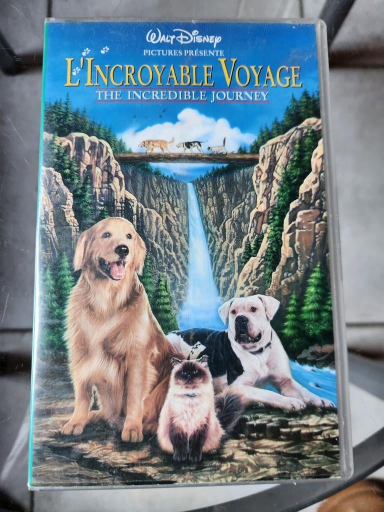 VHS :"L'incroyable voyage" de Disney, Alle leeftijden, Kinderprogramma's en -films, Overige typen, Ophalen of Verzenden