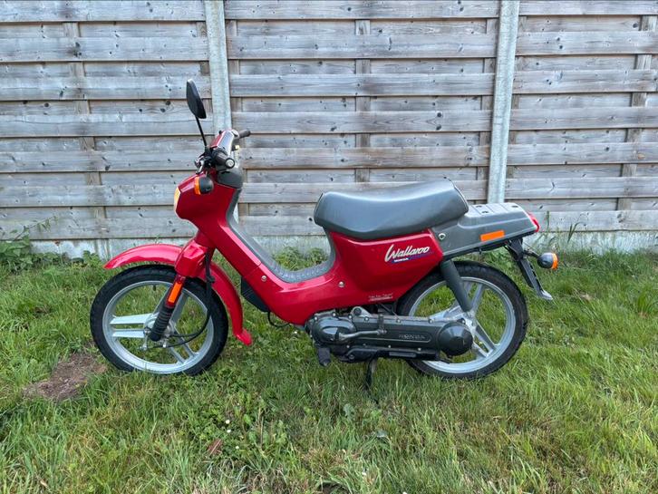 Honda Wallaroo Deluxe, Fietsen en Brommers, Brommeronderdelen | Scooters, Gebruikt, Honda, Ophalen
