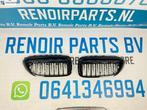 Grill BMW 5 Serie G30 G31 Grill DIAMOND Exclusiv Hoogglans Z, Gebruikt, Ophalen of Verzenden