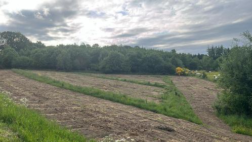 Landbouwgrond te huur regio bievre, Immo, Gronden en Bouwgronden