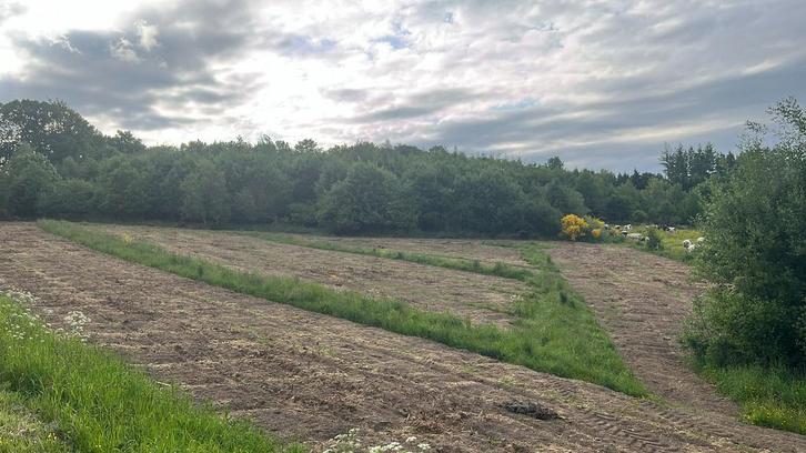 Landbouwgrond te huur regio bievre, Immo, Gronden en Bouwgronden