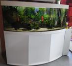 Aquarium Juwel vision 450 Litre 151x61x64, Animaux & Accessoires, Poissons | Aquariums & Accessoires, Comme neuf, Aquarium d'eau douce rempli