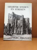 Boek Romain Malfliet, Boeken, Gelezen, Ophalen of Verzenden, Schilder- en Tekenkunst