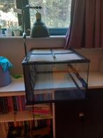 Terrarium 60x45x30 met lamp, Dieren en Toebehoren, Vissen | Aquaria en Toebehoren, Ophalen