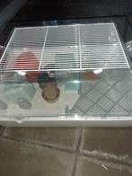 Dwerghamster kooi, Dieren en Toebehoren, Ophalen, Zo goed als nieuw, Kooi, Hamster
