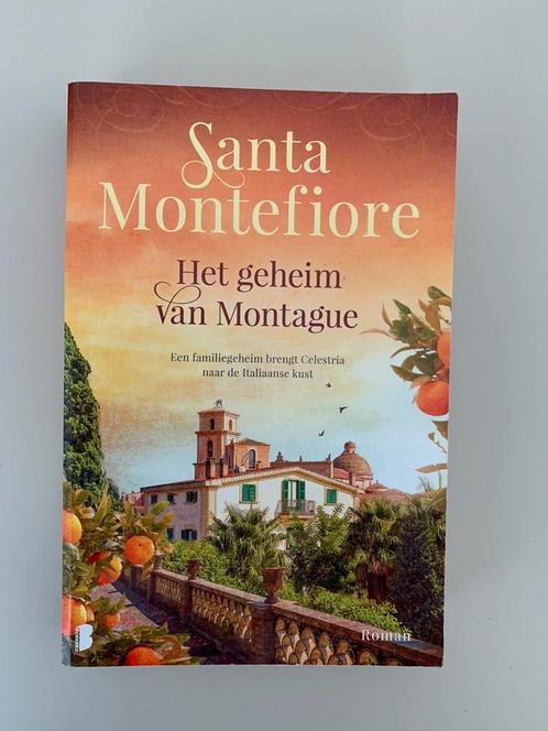 Het geheim van Montague - Santa Montefiore, Boeken, Romans, Gelezen, Ophalen