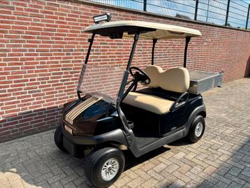 Prachtige Zgan Elektrische Clubcar Tempo Lithium met Werkbak beschikbaar voor biedingen