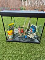 Aquarium super fish, Dieren en Toebehoren
