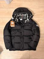 Burberry Jas | Winter, Ophalen of Verzenden, Nieuw