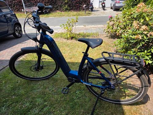 Elektrische fiets Flyer, Fietsen en Brommers, Elektrische fietsen, Zo goed als nieuw, Ophalen