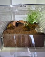Terrarium acryl merk arachnosys 30x30x30 nieuwstaat, Ophalen