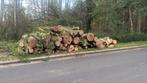 Eiken brandhout 3 meter, Tuin en Terras, Brandhout, 6 m³ of meer, Ophalen, Eikenhout, Stammen