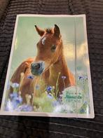 Kartonnen map met flappen 34,5 x 25,5 cm foto veulen, Diversen, Schoolbenodigdheden, Ophalen of Verzenden