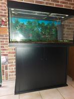 aquarium, Dieren en Toebehoren, Ophalen, Gebruikt, Leeg aquarium