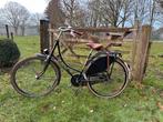 Dames Oma fiets “De Gouden Leeuw” – Zwart, Ophalen, Zo goed als nieuw, Handrem